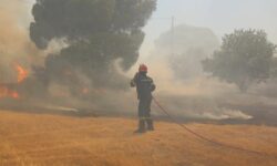 Φωτιά στον Προφήτη Ηλία στα Ψαχνά Ευβοίας