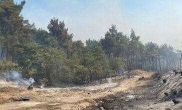 Φωτιά στο δάσος της Δαδιάς: «Σημαντικό ότι δεν θρηνούνται ανθρώπινες ζωές και οικιακές εκτάσεις»