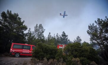 Φωτιά στη Μεσαρά: Ολονύχτια μάχη των πυροσβεστικών δυνάμεων με τις φλόγες