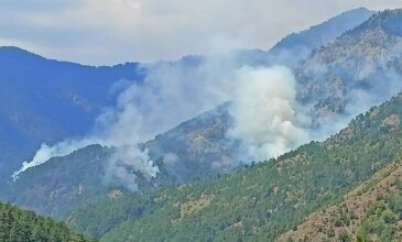Πυρκαγιά στον εθνικό δρυμό Βάλια Κάλντα: Οριοθετήθηκε μετά από 11 μέρες το πύρινο μέτωπο