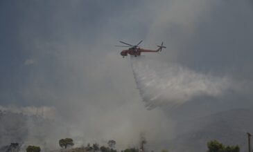 Φωτιά στη Νέα Πέραμο: Οριοθετήθηκε το πύρινο μέτωπο – 40 δασικές πυρκαγιές το τελευταίο 24ωρο