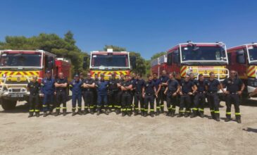 Επικεφαλής Γάλλων πυροσβεστών στην Ελλάδα: Αυτή είναι η μεγάλη δυσκολία με τις φωτιές στη χώρα σας