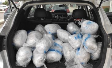 Θεσπρωτία: Συνελήφθη να μεταφέρει με νοικιασμένο αυτοκίνητο 77 κιλά κάνναβης