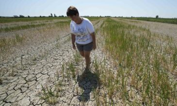 Πλήττεται από ξηρασία η Ευρώπη: Καταστράφηκαν οι σοδειές – Προβλήματα στα σχεδόν 2/3 της ηπείρου