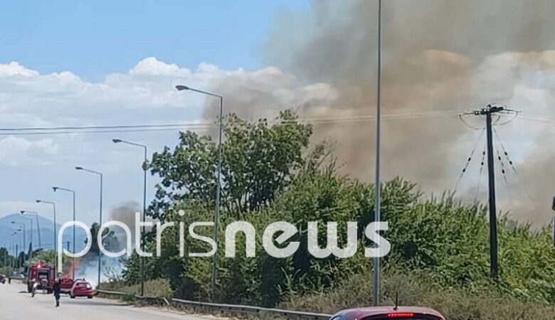 Πυρκαγιά κοντά στην εθνική οδό Πατρών-Πύργου στο Κολίρι
