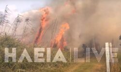 Ηλεία: Σε ύφεση η φωτιά στη Σπιάτζα – Κινδύνεψαν πυροσβέστες όταν οι φλόγες «αγκάλιασαν» πυροσβεστικό όχημα
