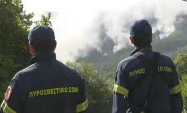Μαίνεται η πυρκαγιά στη Θάσο – Ενισχύονται οι πυροσβεστικές δυνάμεις με μηχανήματα του Στρατού