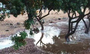 Χίος: Καταστροφές στα μαστιχοχώρια από τη βροχή – Ζημιές και στον Βόλο