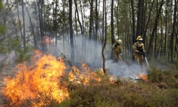 Πορτογαλία: Aνεξέλεγκτη μαίνεται η μεγάλη πυρκαγιά στον εθνικό δρυμό Σέρα ντα Εστρέλα