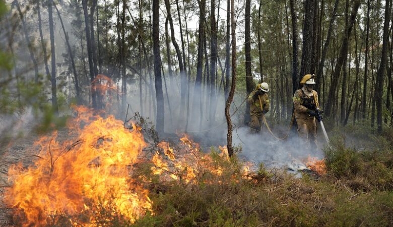 Πορτογαλία: Aνεξέλεγκτη μαίνεται η μεγάλη πυρκαγιά στον εθνικό δρυμό Σέρα ντα Εστρέλα