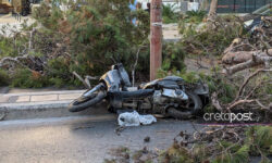 Ηράκλειο: Συγκλονίζει η χήρα του 51χρονου μοτοσυκλετιστή που καταπλακώθηκε από δέντρο – Ήταν πατέρας τριών παιδιών