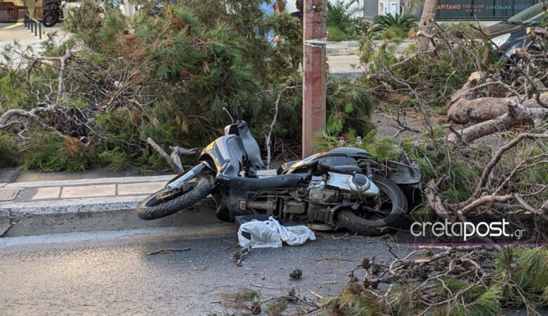 Ηράκλειο: Συγκλονίζει η χήρα του 51χρονου μοτοσυκλετιστή που καταπλακώθηκε από δέντρο – Ήταν πατέρας τριών παιδιών