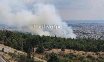 Θεσσαλονίκη: Ξέσπασε φωτιά στο δάσος του Σέιχ Σου