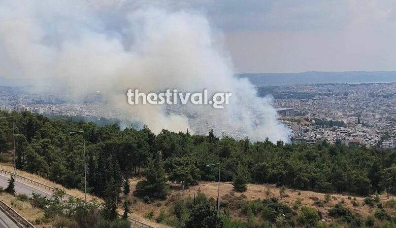 Θεσσαλονίκη: Ξέσπασε φωτιά στο δάσος του Σέιχ Σου
