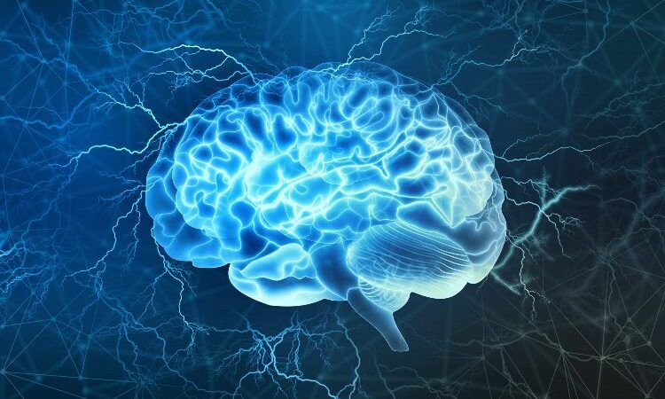 Επιστήμονες ανακάλυψαν νευρώνες στον εγκέφαλο που ενεργοποιούνται όταν βλέπουμε εικόνες φαγητού
