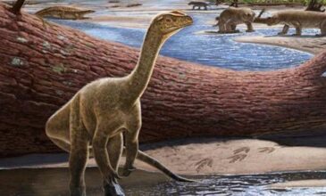 Παλαιοντολόγοι ανακάλυψαν τον αρχαιότερο δεινόσαυρο της Αφρικής