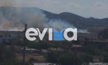 Φωτιά σε αγροτική έκταση στην Εύβοια