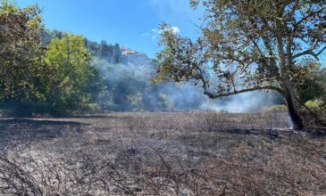 Υπό μερικό έλεγχο η πυρκαγιά στην Αγία Γουργή της Κέρκυρας