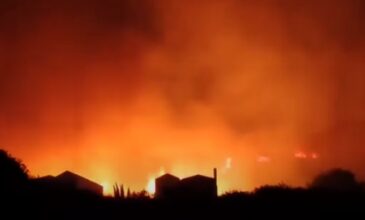 Κεφαλονιά: Υπό έλεγχο η φωτιά στη Σκάλα – Δεν απειλήθηκαν κατοικίες