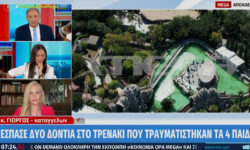 Allou Fun Park: Νέα καταγγελία για τραυματισμό στο τρενάκι που τραυματίστηκαν τα παιδιά – «Δεν κινήθηκα νομικά γιατί με εκφόβισαν»