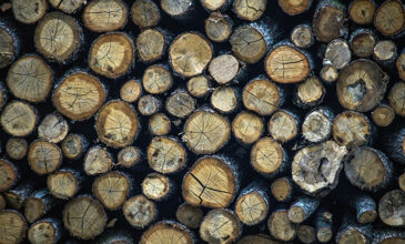 Καυσόξυλα: Μεγάλες οι ελλείψεις στην αγορά – «Δεν έχουμε ξύλα, φωνάζουμε από τον Φεβρουάριο»