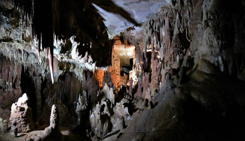 «Ο Αρχάνθρωπος των Πετραλώνων»: Ανοίγει ξανά το Σπήλαιο και «λύνεται» το μυστήριο
