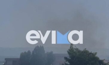 Φωτιά στη Χαλκίδα – Οι καπνοί σκέπασαν την πόλη