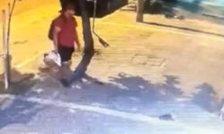 Θεσσαλονίκη: Ταυτοποιήθηκε ο άνδρας που ποδοπάτησε μέχρι θανάτου γατάκι