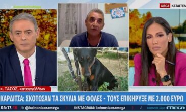 Καρδίτσα: Σκότωσαν με φόλες δύο σκυλιά του και τους επικήρυξε με 2.000 ευρώ