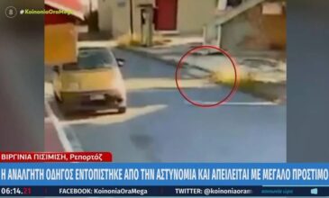 Θεσσαλονίκη: Μάχη για τη ζωή του δίνει το σκυλάκι που χτύπησε ασυνείδητη οδηγός