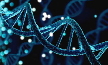 Επανάσταση για την εξέλιξη – Το μιτοχονδριακό DNA «τρυπώνει» στο ανθρώπινο γονιδίωμα και το αλλάζει