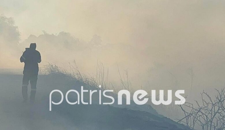 Πυρκαγιά κοντά σε κατοικημένη περιοχή στην Ηλεία