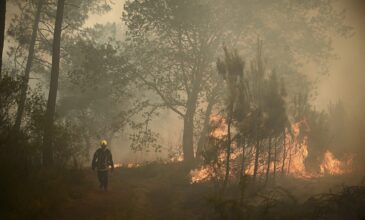 Ρεκόρ καμένων εκτάσεων στην Ευρώπη φέτος το καλοκαίρι