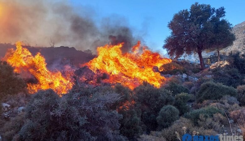 Πυρκαγιά σε χαμηλή βλάστηση στη Νάξο