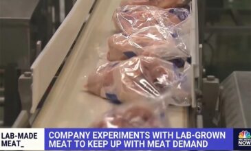 Η FDA ενέκρινε για πρώτη φορά την πώληση κοτόπουλου φτιαγμένου στο εργαστήριο