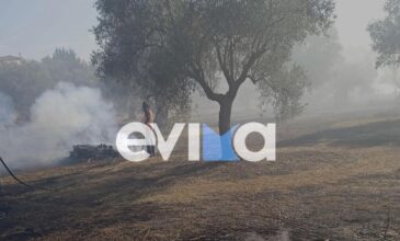 Εύβοια: Μεγάλη φωτιά σε αγροτική έκταση κοντά σε μεγάλο ξενοδοχείο στην Ερέτρια