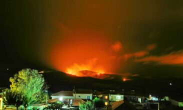 Λήμνος: Ξέσπασε φωτιά στην περιοχή Δάφνη