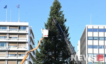 Στήθηκε το Χριστουγεννιάτικο δέντρο στην πλατεία Συντάγματος – Δείτε τις εικόνες του news