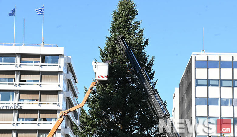 Στήθηκε το Χριστουγεννιάτικο δέντρο στην πλατεία Συντάγματος – Δείτε τις εικόνες του news