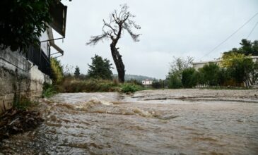 Ισπανία: Συνεχίζονται οι έρευνες για τρεις αγνοούμενους μετά τις φονικές πλημμύρες