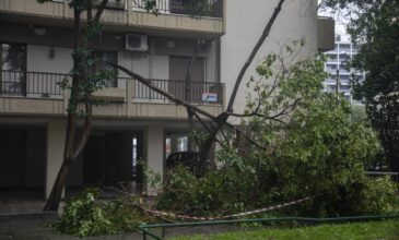 Πτώσεις δέντρων από τους ισχυρούς ανέμους στην Θεσσαλονίκη