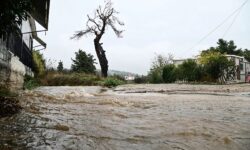 Κακοκαιρία «Ariel» – Σκόπελος: Καταστράφηκε το αγροτικό δίκτυο και πλημμύρισαν σπίτια