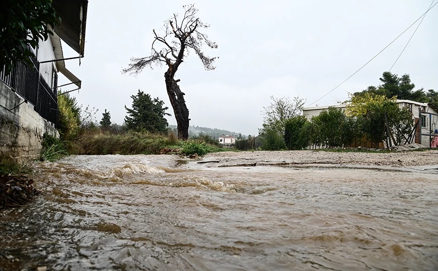 Grecia.. inundații, alunecări de teren și întreruperi de curent în mai multe părți ale țării - videoclipul Κακοκαιρία «Ariel» – Σκόπελος: Καταστράφηκε το αγροτικό δίκτυο και πλημμύρισαν σπίτια
