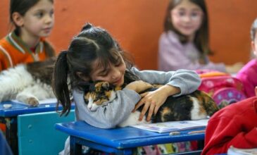 Τουρκία: Δημοτικό σχολείο φιλοξενεί περισσότερες… γάτες από μαθητές