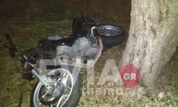 Τραγωδία στα Ψαχνά: Νεκρός 47χρονος γιατρός με μοτοσικλέτα που έπεσε πάνω σε σκύλο και μετά σε δέντρο