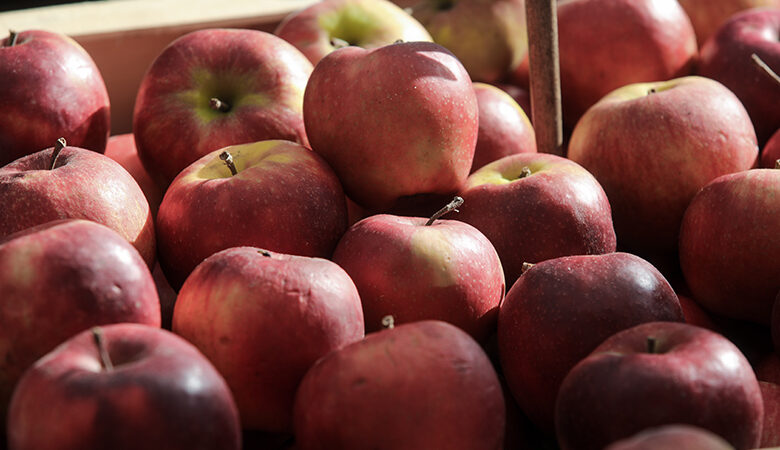 Αποζημίωση των παραγωγών μήλων και καστάνων της Μαγνησίας