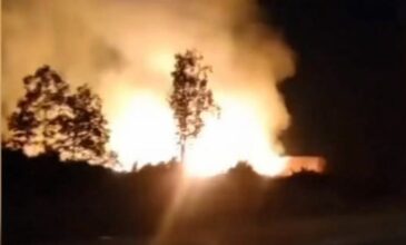 Φωτιά στα Ψαχνά Ευβοίας: Καίει ανεξέλεγκτη σε υδροβιότοπο – Τεράστια οικολογική καταστροφή