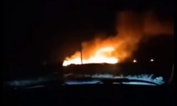 Εύβοια: Μεγάλη οικολογική ζημιά από τη πυρκαγιά στα Ψαχνά – Εντοπίστηκε γκαζάκι στα αποκαΐδια