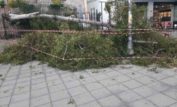Ισχυροί άνεμοι «σάρωσαν» τη Θεσσαλονίκη – Κίνδυνος από τις πτώσεις δένδρων