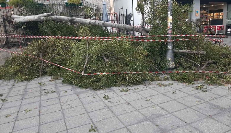 Ισχυροί άνεμοι «σάρωσαν» τη Θεσσαλονίκη – Κίνδυνος από τις πτώσεις δένδρων